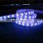 LED Rope Light for Christmas Decoration