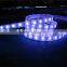 IP65 SMD5050/3528 sound activated rgb led strip light