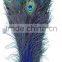 ZPDECOR Best Quality Plume Wholesale Full Eye Dyed Royal Blue Peacock Feathers for Gifts