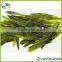 Green Tea Wholesale in Guangzhou Green Tea Weight Loss