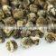 EU standard Imperial Jasmine Dragon Pearl green Tea
