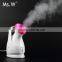 Hot selling electric portable beauty facial steamer