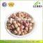 Round Shape Kidney Beans Light Speckled Kidney Beans Xinjiang Origin