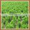 Stevia Rebaudioside-A, Reb-A 99% (SG99RA99)