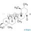 Uva Ursi Leaf Extract with Arbutin and Ursolic Acid from GMP Factory