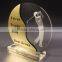 2017 star shaped custom clear acrylic trophy manufacturer