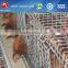 types of poultry house with egg collection system machine