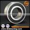 SS6004-2RS/ZZ stainless steel loose ball bearings