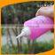 16oz Plastic Liquid Detergent Bottle Plastic Squeeze Bottles