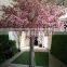 Decorative garden flower trees