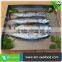 Hot Selling Without Faure Marin Frozen Bonito For Cannery Factory