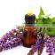 Sage oil