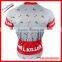 team specialized cycling jersey, Wicking Moisture no fading colors cycling clothing