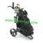 Germany UK Design Electric Remote Golf Trolley Golf Cart Of LiFePo Lithium Battery