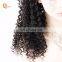 Human Hair Lace Front Wig Brazilian Remy Hair Lace Wigs Pre Plucked 18 Inches