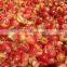 New Arrivals Home agriculture automatic Fresh Coffee Bean Peeling Machine