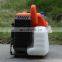 BISON(CHINA) 1KW 110V Gasoline Inverter Generator