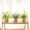 Wholesale 3 Pieces Artificial Eucalyptus Potted Plastic Plants Mini Green Plants For Office Desk Decoration Bonsai
