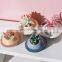 Indoor Plant Pots Ceramics Flower Pots & Planters Home Decor Planet Shape Succulent Flower Pot