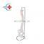 HC-S210 medical Anotomy model skeleton Life-size human large spine skeleton teaching model  Life-size Spine model