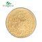 Private Label OEM Natural Water Soluble Natural Freeze Dried ISO Certified Apricot Fruit Powder