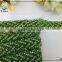 Green Rhinestone Beads Appliques Belts