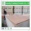 1220*2440mm best quality plywood sheets with differernt thickness