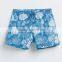 swim trunks short guys gym