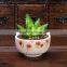 2016 small cheap porcelain decorative ceramic flower pots for Succulents plant