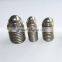 France GN614 threaded ball spring plungers/M5 GN615 ball plungers/stainless steel fastener screw