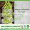 Eco-friendly agricultural PP spunbond nonwoven fabric for plants cover and fruit protection bag