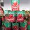 22-24% Brix Concentrated Tomato Paste, Tomato Ketchup