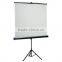 300 inch outdoor holographic black rear projection screen