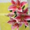 Preferential The Flower Lily For Church Wedding Decoration