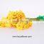 Natural Plants Fresh Cut Yellow Orchid Thailand For Party