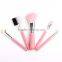 Wholesale 5pcs professional new arrival portable pink cosmetic brush set girl makeup
