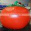 High quality and Most popular Inflatable product,All kind of PVC Inflatable fruit for sale