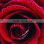 100% Natural Rose Essential Oil | Pure Rose Oil For Export