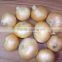 Yellow onion to buy from onion exporters in china