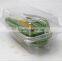 1600ml Disposable Clear Plastic Box for Vegetable