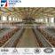 Design layer chicken cage,poultry layer cage for sale