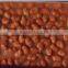 Hot sale Canned Broad Beans in brine Canned Vegetable high quality