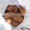 Tamilnadu husked coconut