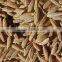 Cumin seeds