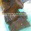 Dried kelp sheet, dried kelp board to conduct SPA treatments in beauty salons