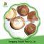 High Quality And Law Price Frozen Mushroom Shiitake Available