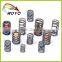 Valve Spring for Diesel Engine,diesel Governor for Diesel Engine
