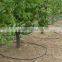 Fruit tree irrigation system