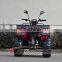 2015 Promotional Adult Fast Speed Cheap Chinese ATV (AT2009)