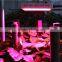 Double chips led grow light full spectrum for greenhouse and indoor plant flowering growing 5W led